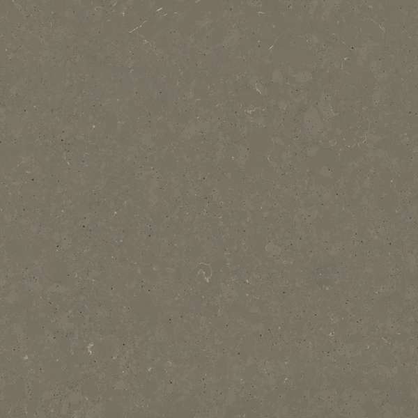 Plan de travail Brass Relish en Quartz Silestone