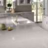 Plan de travail Desert Silver en Quartz Silestone