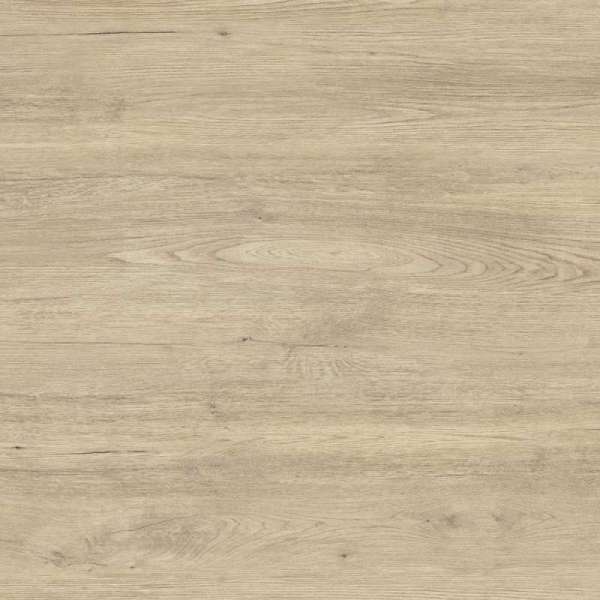 Plan de travail Jungla Cipres en Céramique Grespania