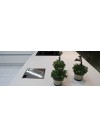 Blanco Zeus Quartz Silestone - Finition Suede