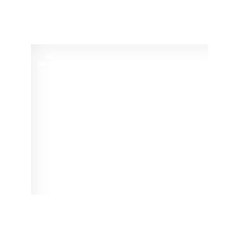 Absolu Blanc - Leader Quartz - Finition Poli (Poli)