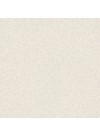 Beige Moucheté - Leader Quartz - Finition Poli (Poli)