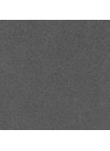 Gris Anthracite - Leader Quartz - Finition Poli (Poli)