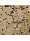 Rosavel - Granit – Finition Satiné (Mat)