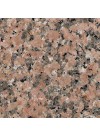 Rose Porinho - Granit - Finition Poli (Poli)
