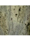 Vert Eucalyptus - Finition Granit Satinée