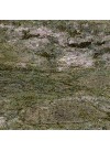 Vert Réal Impérial - Granit - Finition Flammé (Texturée)