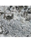 Warwick River Washed - Finition Granit Satinée