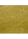 Daim Royal - Marbre - Finition Poli (Poli)