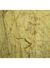 Jaune Montagne - Marbre - Finition Poli (Poli)