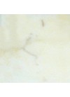 Rose Crème - Marbre - Finition Poli (Poli)