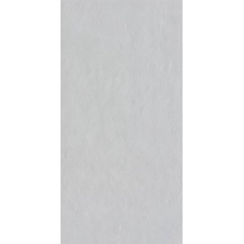 Uni Light Grey - Céramique RAK - Mat (Mat)