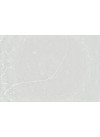 Desert Silver - Quartz Silestone - Finition Poli (Poli)