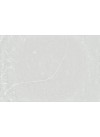 Desert Silver - Quartz Silestone - Finition Poli (Poli)
