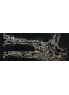 Ice Max Black - Quartz Compac - Finition Poli (Poli)