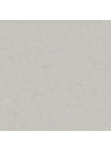 Motion Grey - Quartz Silestone - Finition Poli (Poli)